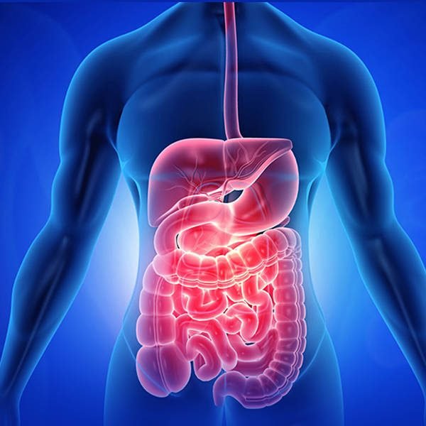 gastroenterolog-podgorica